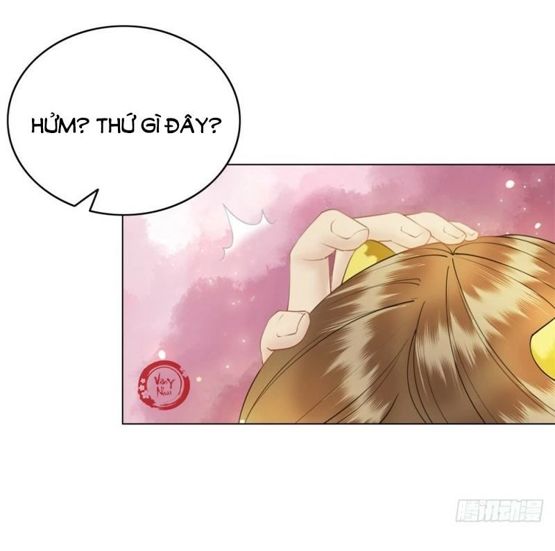 Gay Rồi! Cái Đó Thành Tinh Rồi Chapter 37 - 55