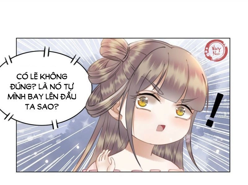 Gay Rồi! Cái Đó Thành Tinh Rồi Chapter 39 - 22