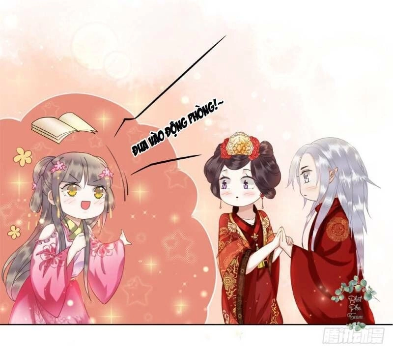 Gay Rồi! Cái Đó Thành Tinh Rồi Chapter 45 - 51