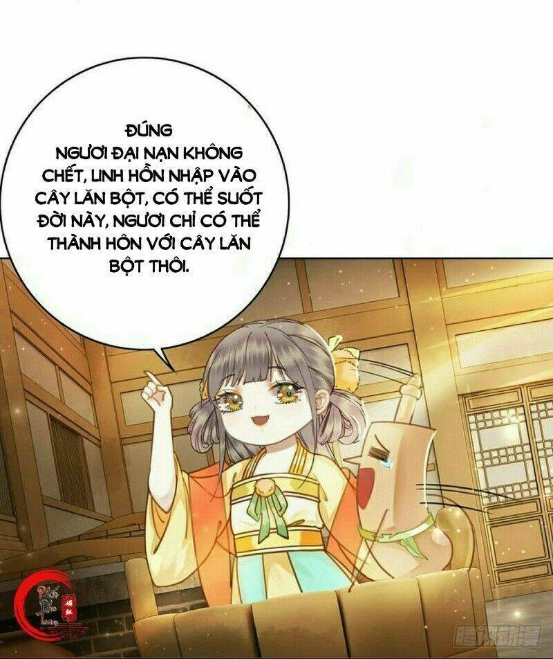 Gay Rồi! Cái Đó Thành Tinh Rồi Chapter 50 - 29