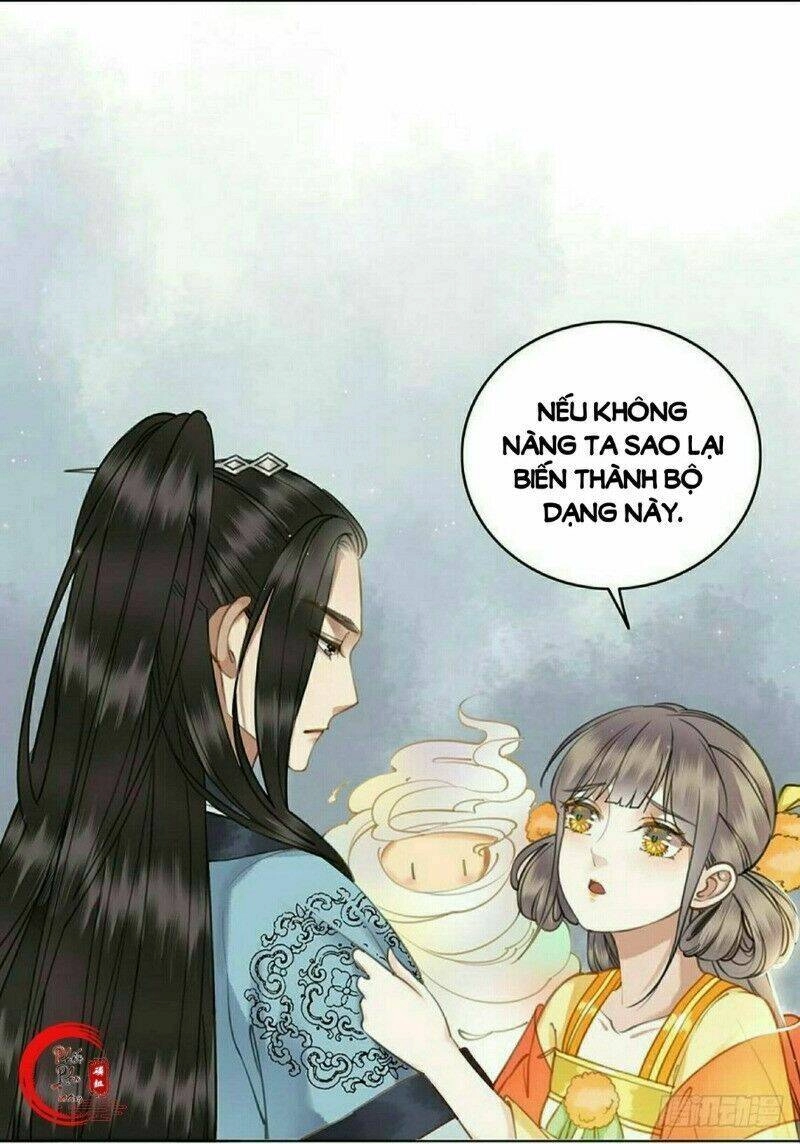 Gay Rồi! Cái Đó Thành Tinh Rồi Chapter 50 - 54