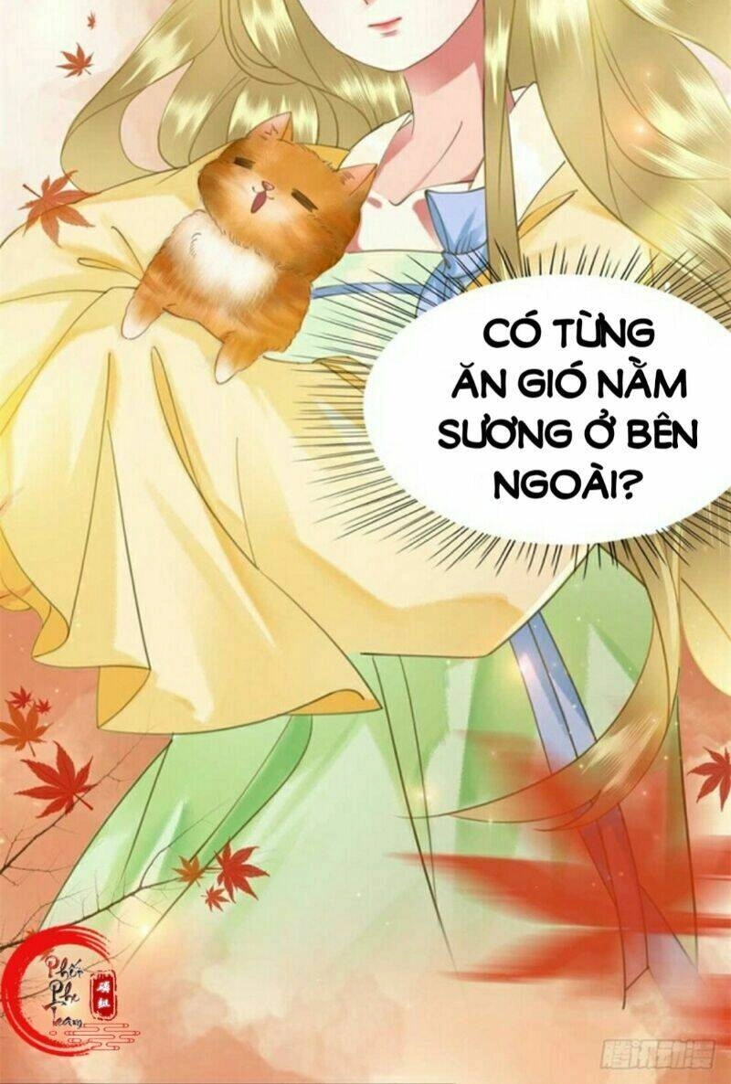 Gay Rồi! Cái Đó Thành Tinh Rồi Chapter 52 - 57