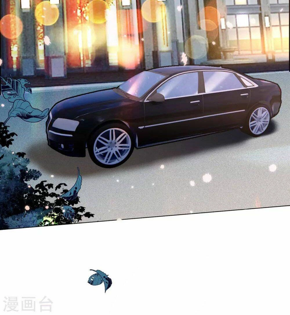 Thuần Tình Lục Thiếu Chapter 203 - 5