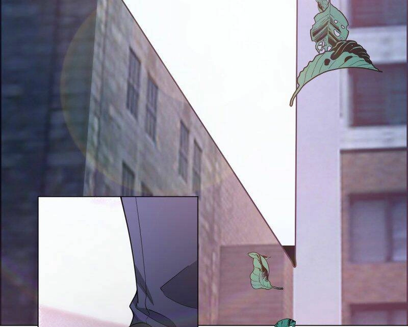 Thuần Tình Lục Thiếu Chapter 211.1 - 4