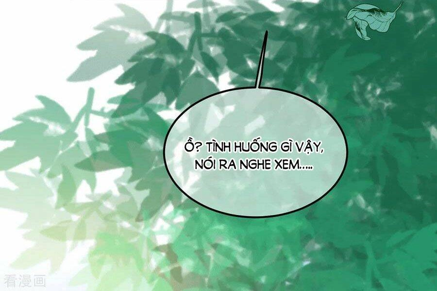 Thuần Tình Lục Thiếu Chapter 222 - 22