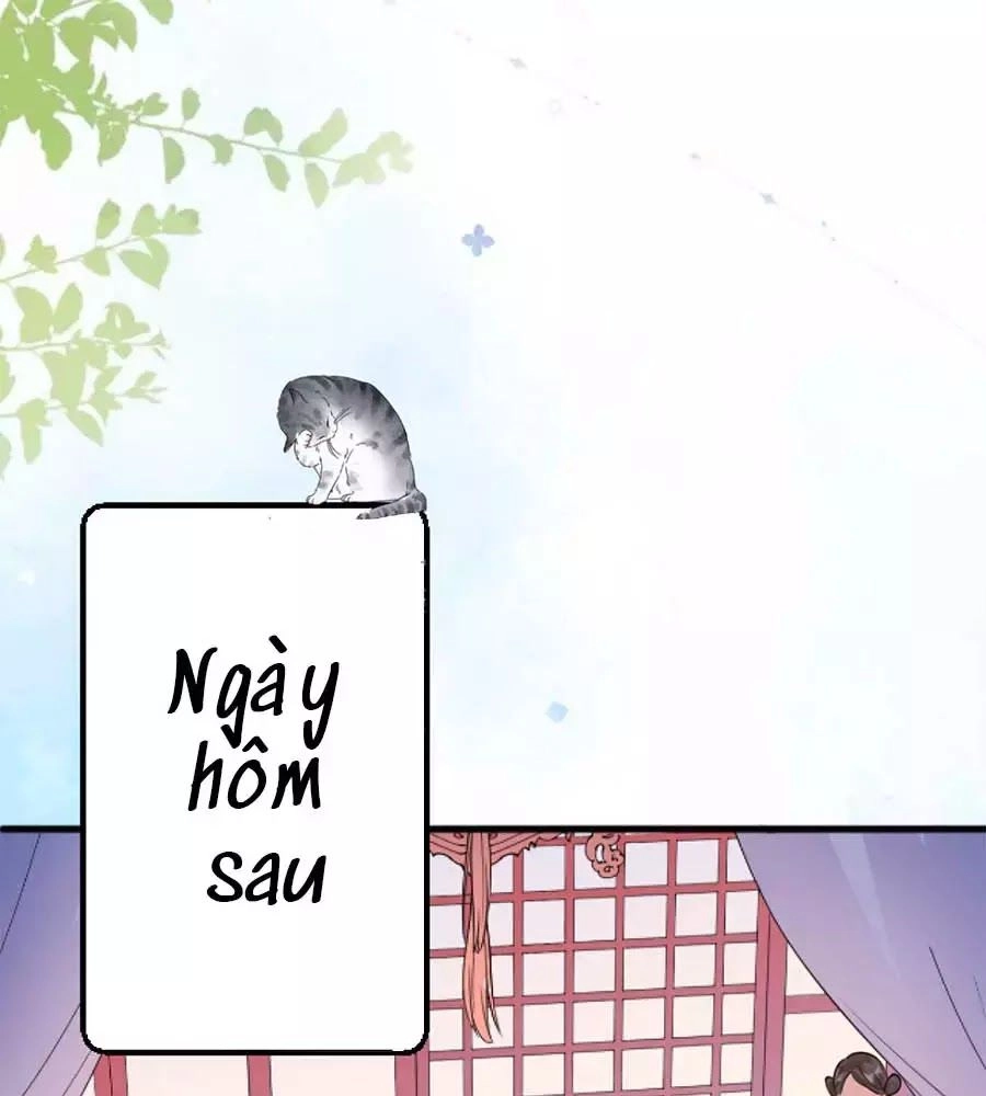 Tang Lạc Túy Tại Nam Phong Lý Chapter 11 - 48