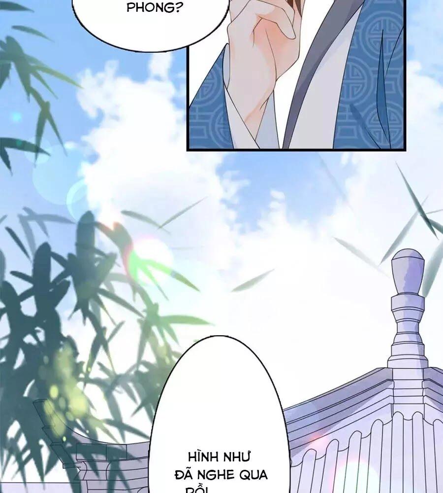 Tang Lạc Túy Tại Nam Phong Lý Chapter 20 - 28