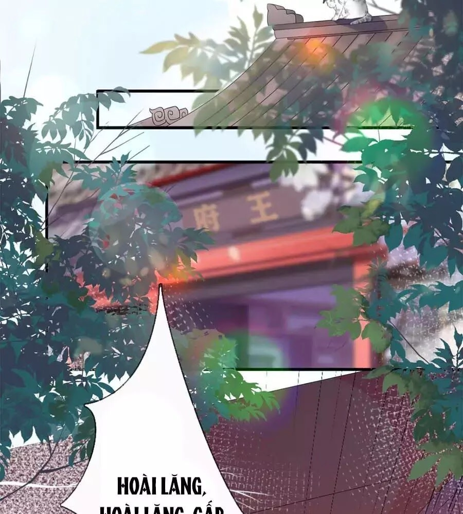 Tang Lạc Túy Tại Nam Phong Lý Chapter 20 - 30