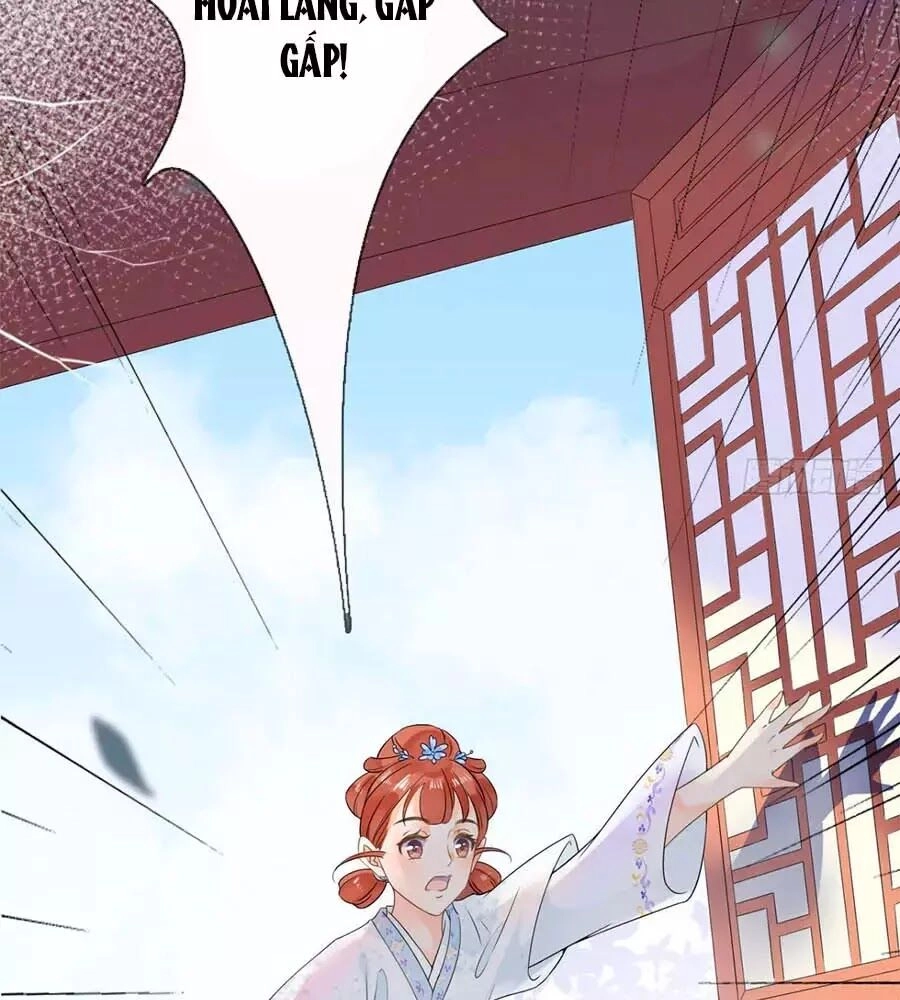 Tang Lạc Túy Tại Nam Phong Lý Chapter 20 - 31