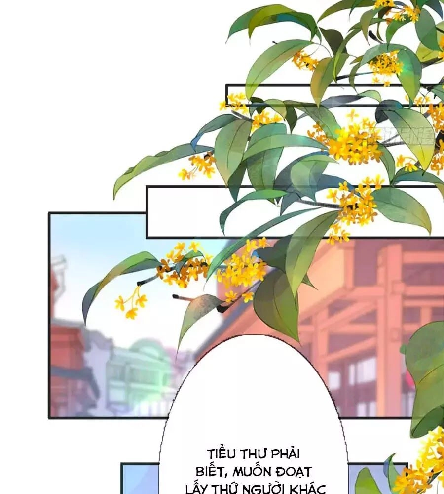 Tang Lạc Túy Tại Nam Phong Lý Chapter 21 - 49