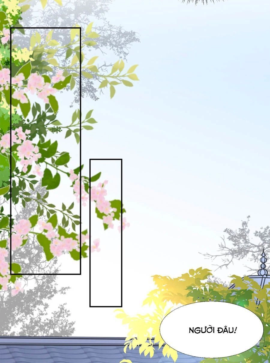 Tang Lạc Túy Tại Nam Phong Lý Chapter 30 - 24