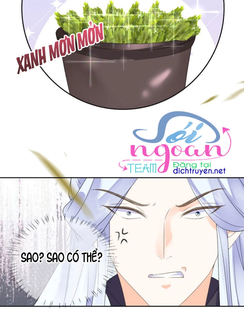 Tang Lạc Túy Tại Nam Phong Lý Chapter 37 - 30