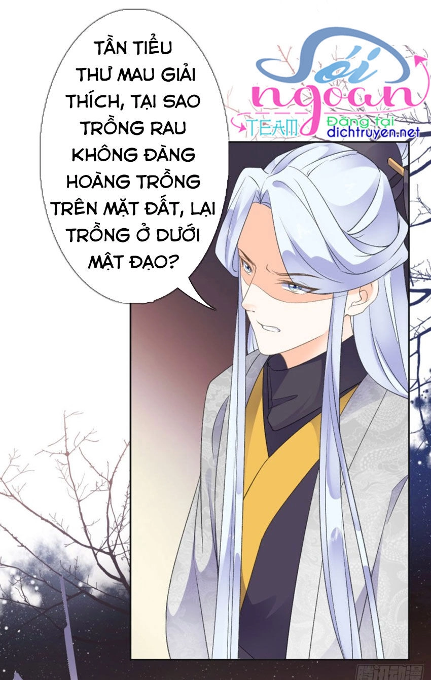Tang Lạc Túy Tại Nam Phong Lý Chapter 37 - 37