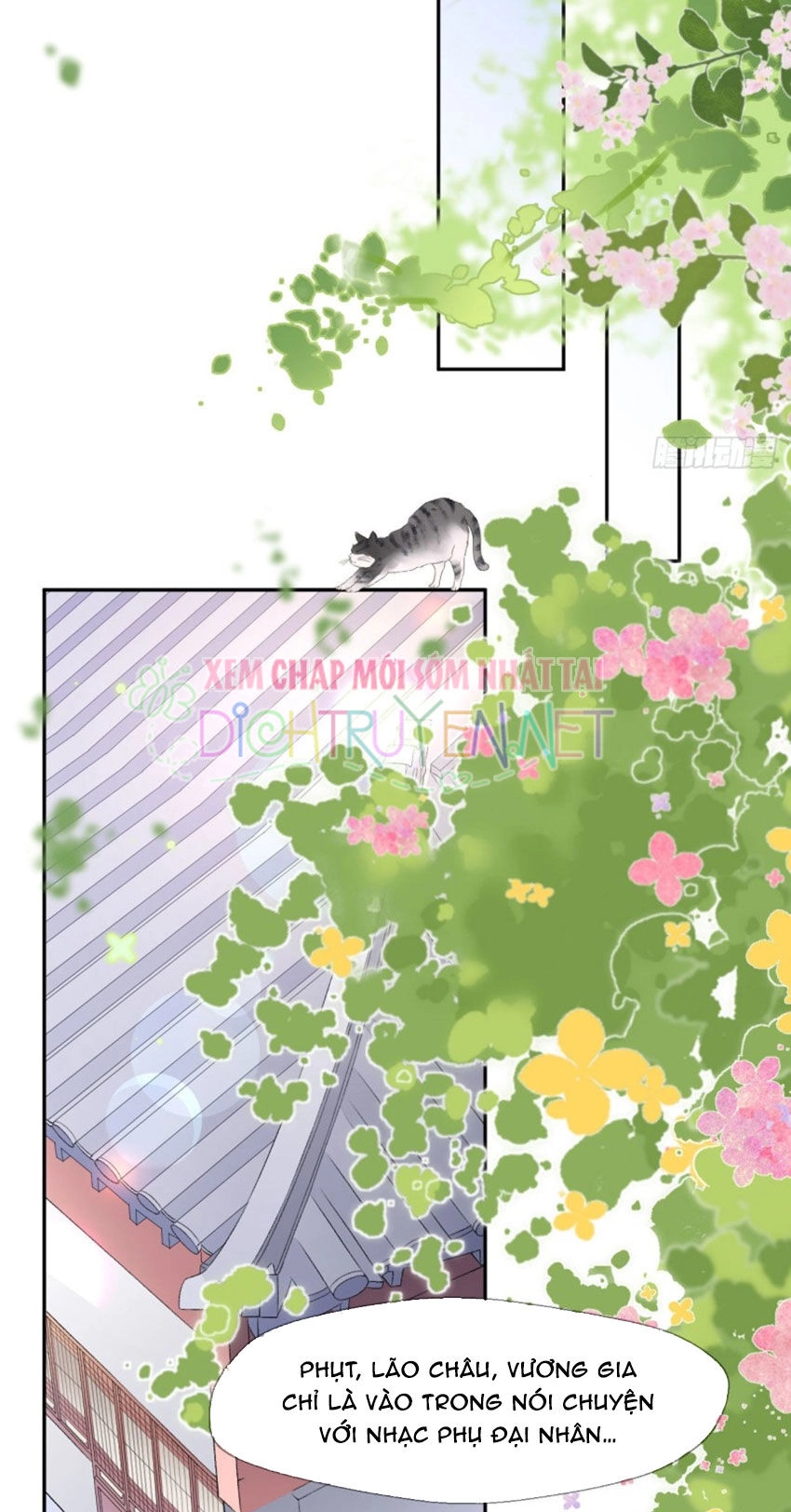 Tang Lạc Túy Tại Nam Phong Lý Chapter 43 - 5