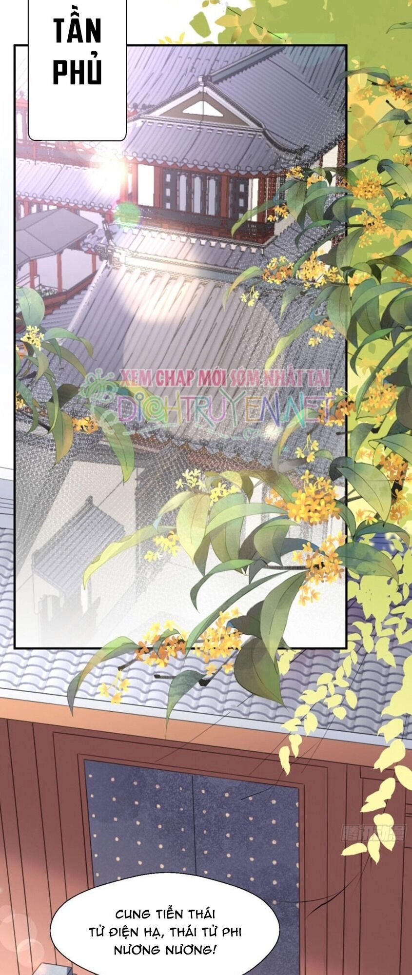 Tang Lạc Túy Tại Nam Phong Lý Chapter 44 - 6