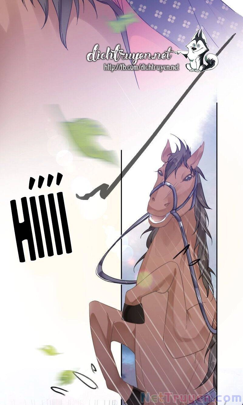 Tang Lạc Túy Tại Nam Phong Lý Chapter 96 - 13