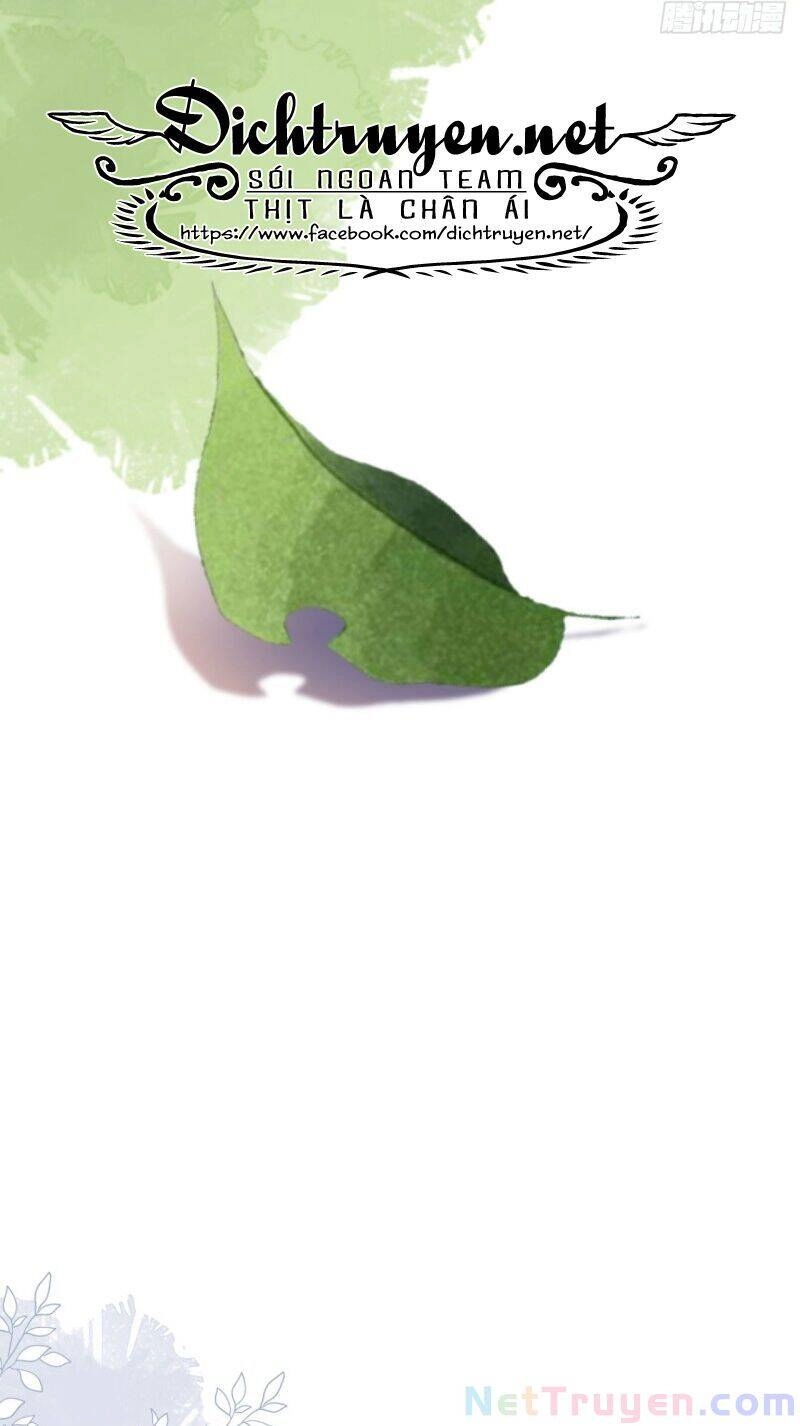 Tang Lạc Túy Tại Nam Phong Lý Chapter 96 - 39