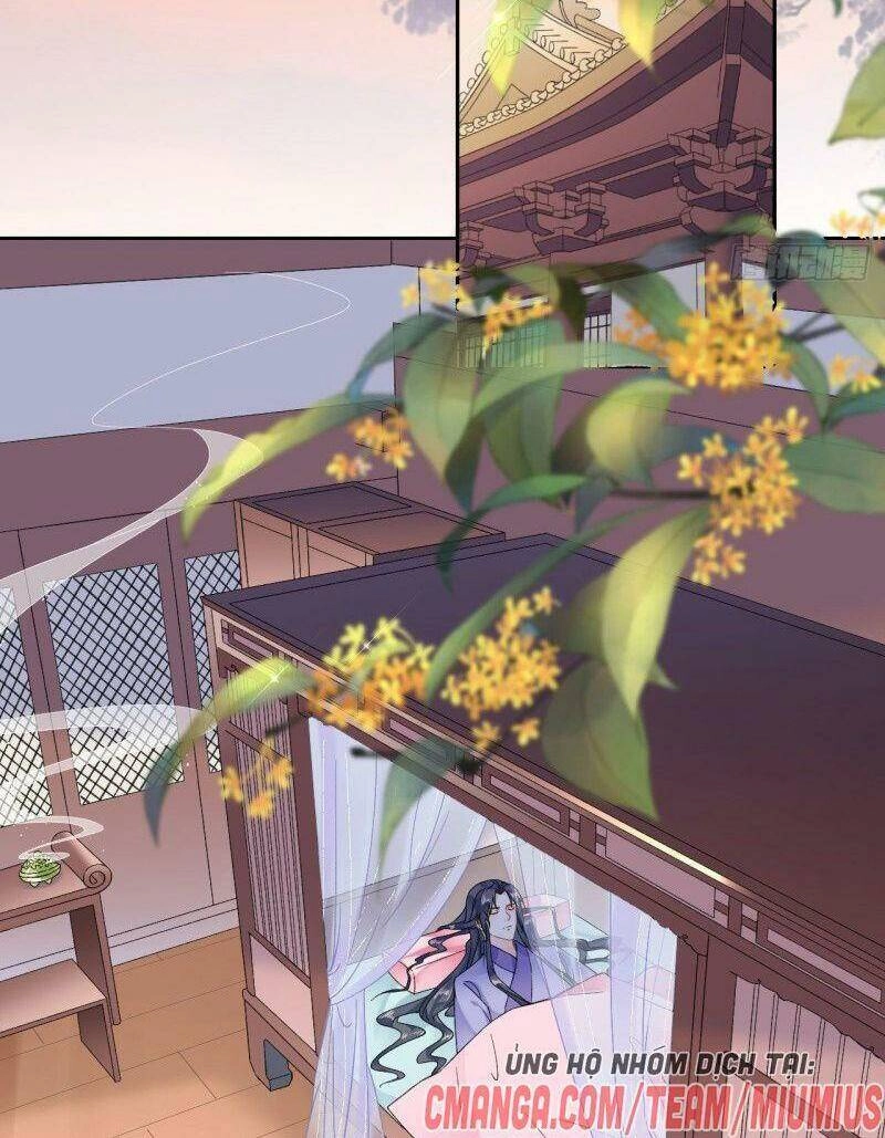 Tang Lạc Túy Tại Nam Phong Lý Chapter 98 - 6