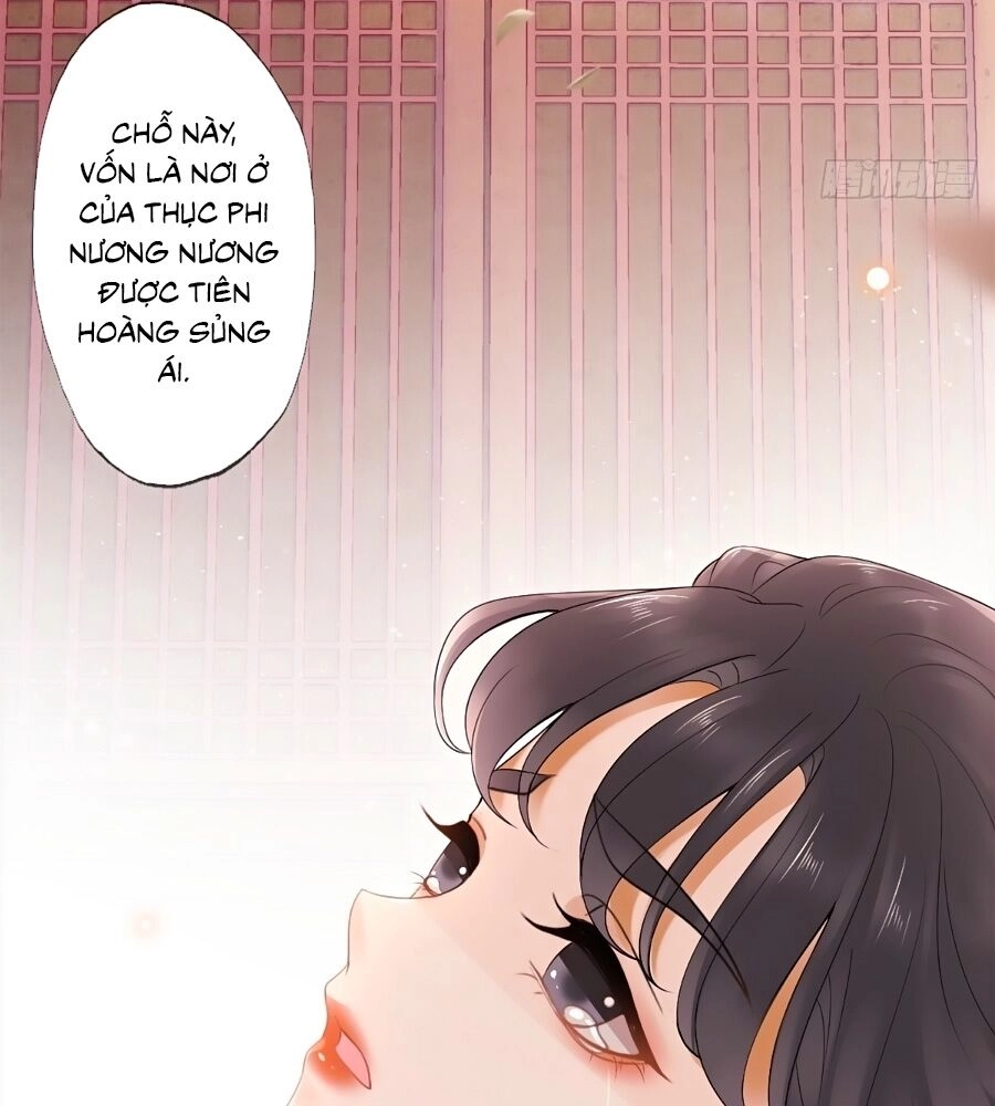 Mê Hoặc Lòng Người Chapter 11 - 48