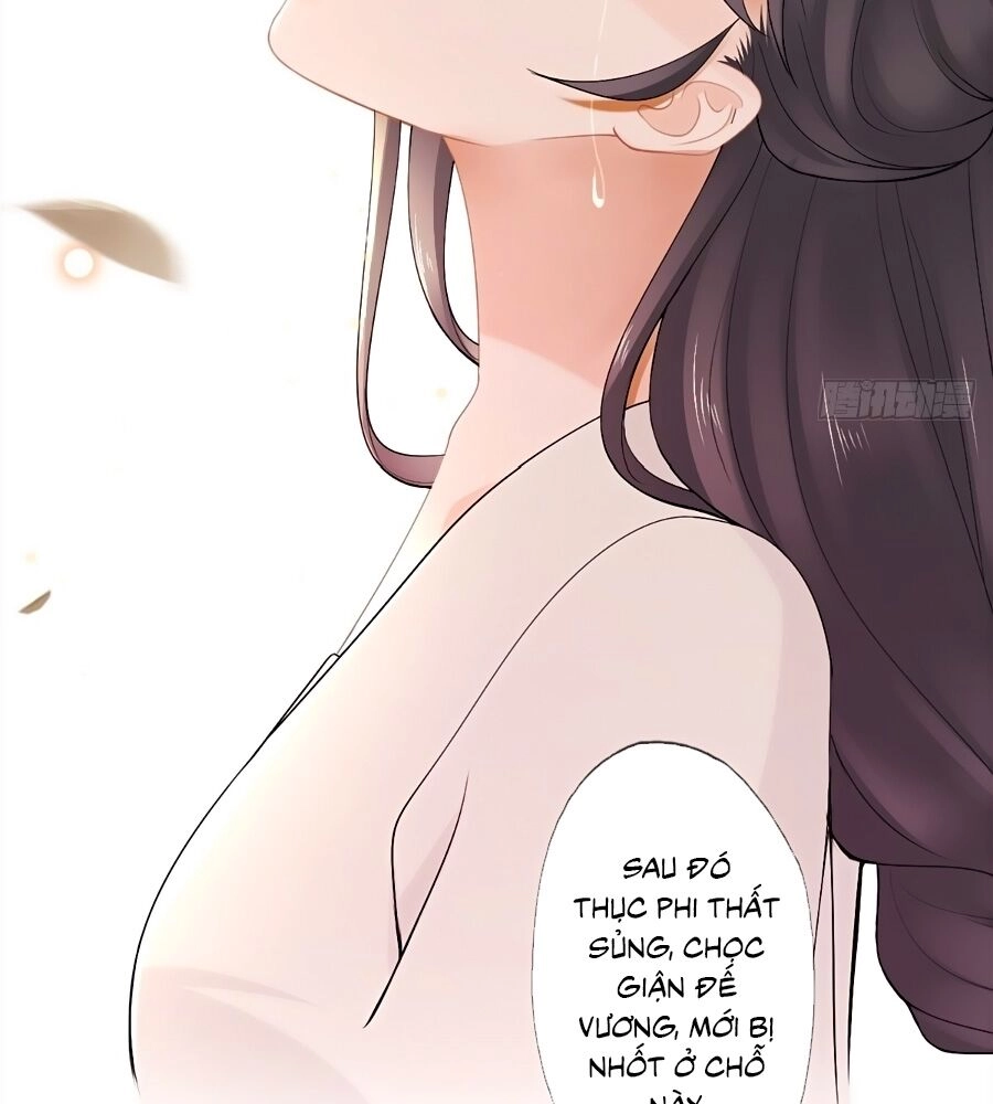 Mê Hoặc Lòng Người Chapter 11 - 49