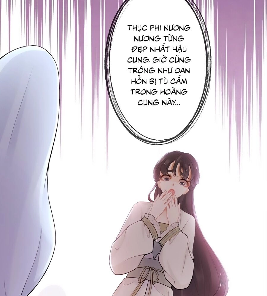 Mê Hoặc Lòng Người Chapter 11 - 62