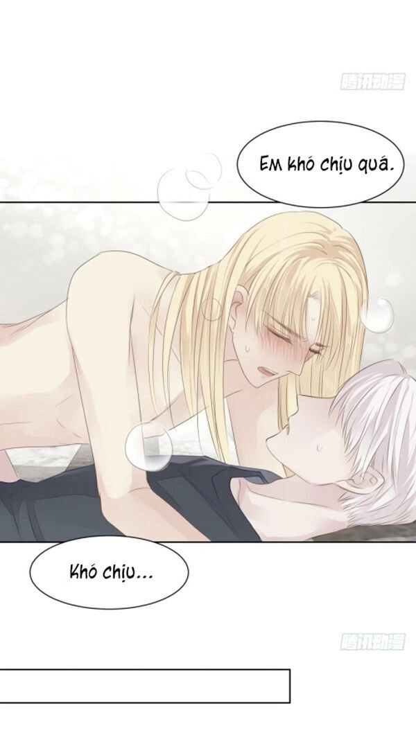 Điều Giáo Gấu Bắc Cực Chapter 9 - 15