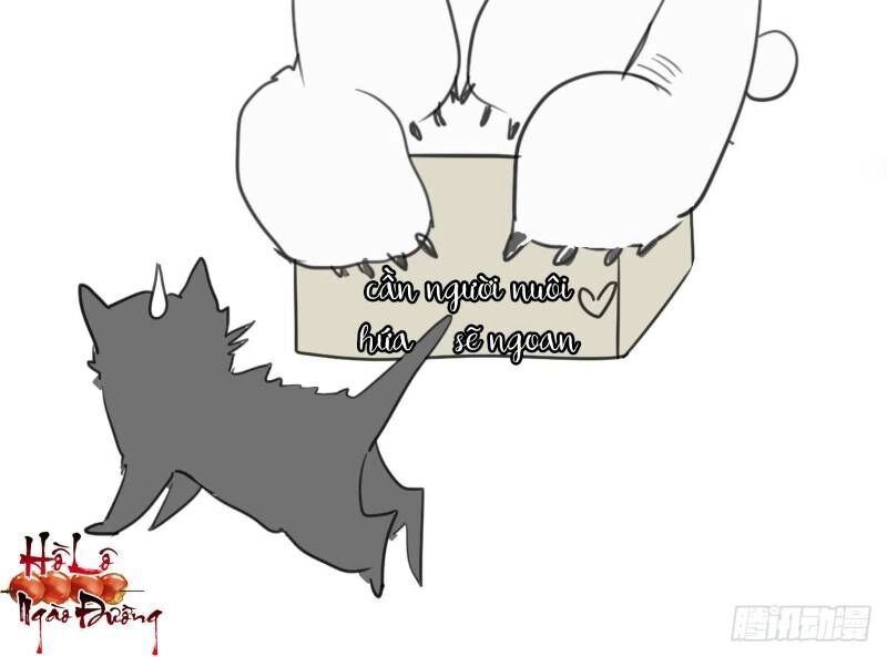 Điều Giáo Gấu Bắc Cực Chapter 21 - 47