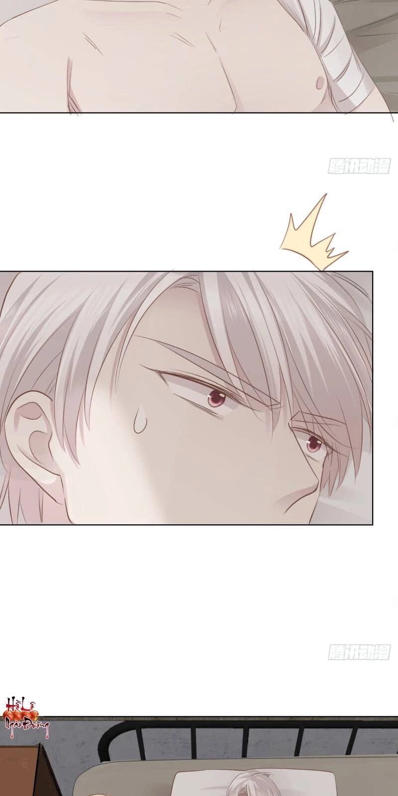 Điều Giáo Gấu Bắc Cực Chapter 22 - 12