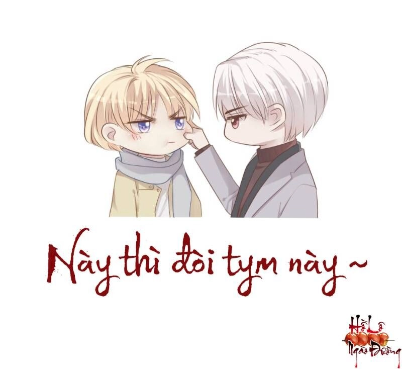 Điều Giáo Gấu Bắc Cực Chapter 24 - 44