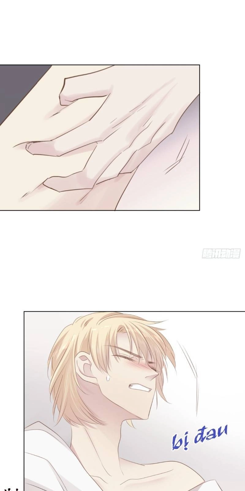 Điều Giáo Gấu Bắc Cực Chapter 27 - 22