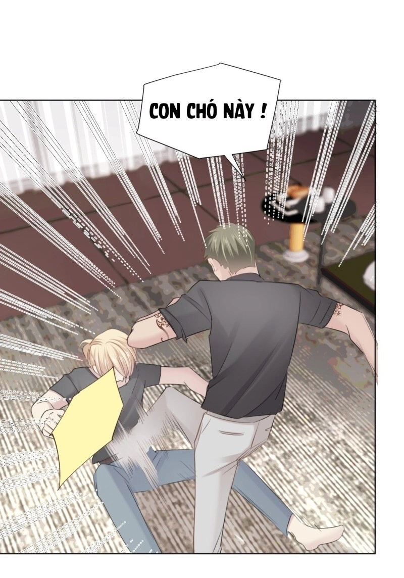 Điều Giáo Gấu Bắc Cực Chapter 32 - 31