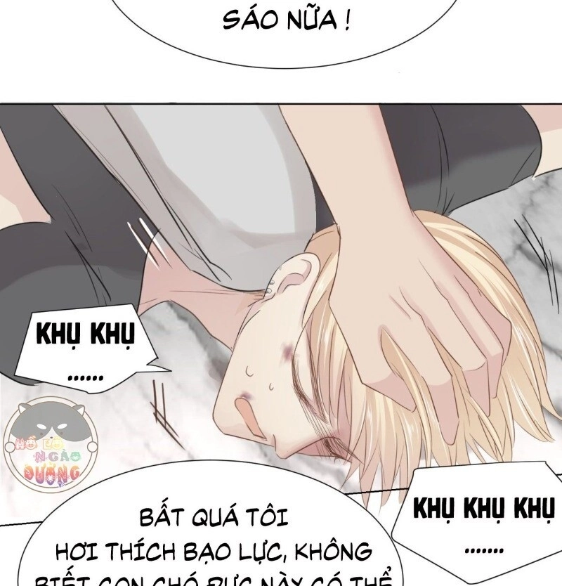 Điều Giáo Gấu Bắc Cực Chapter 33 - 44