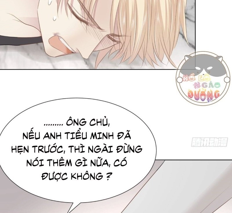 Điều Giáo Gấu Bắc Cực Chapter 33 - 48