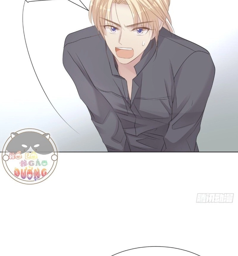 Điều Giáo Gấu Bắc Cực Chapter 35 - 33