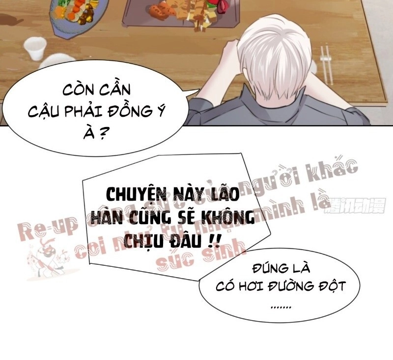 Điều Giáo Gấu Bắc Cực Chapter 35 - 65