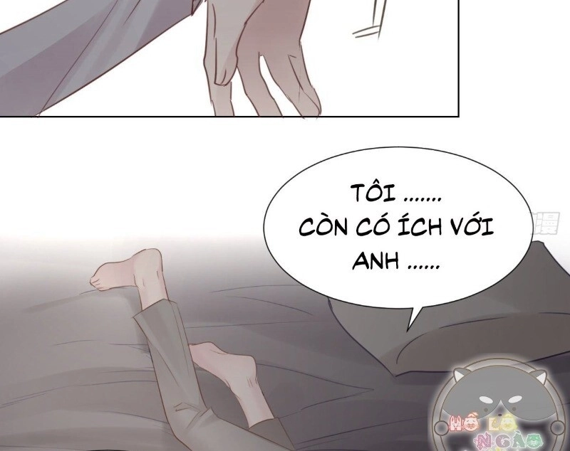 Điều Giáo Gấu Bắc Cực Chapter 36 - 37