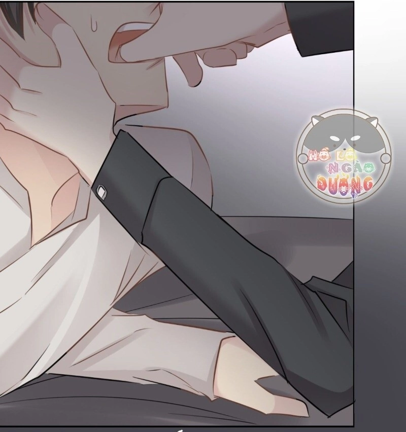 Điều Giáo Gấu Bắc Cực Chapter 36 - 48