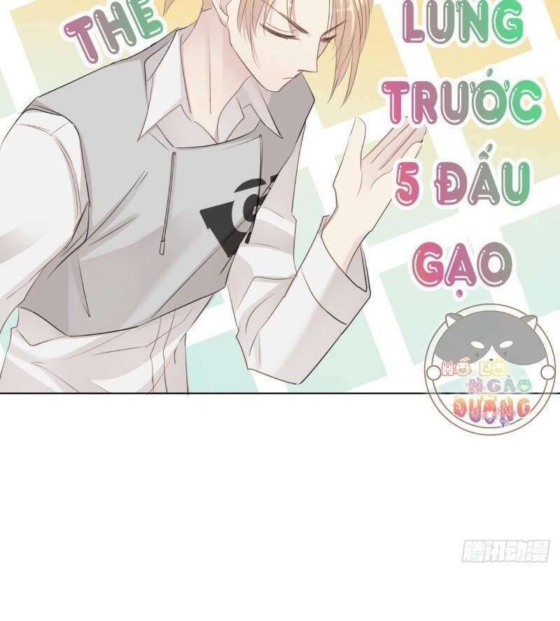 Điều Giáo Gấu Bắc Cực Chapter 36 - 81