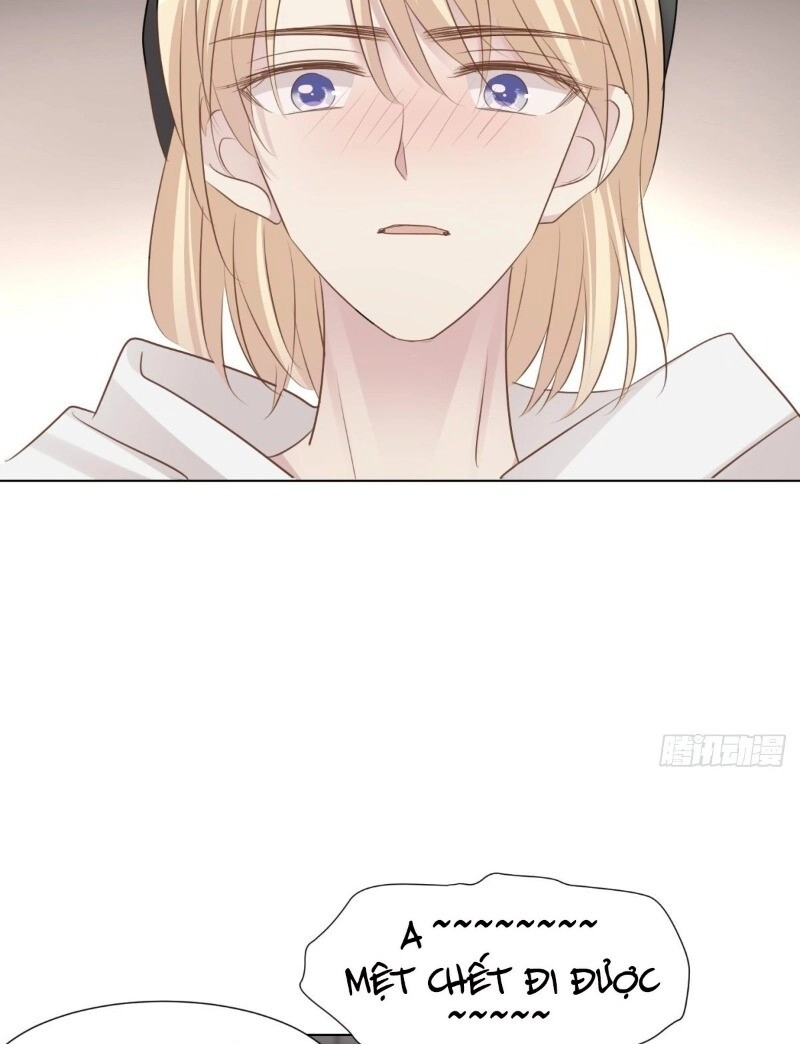 Điều Giáo Gấu Bắc Cực Chapter 37 - 65