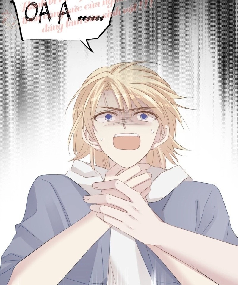 Điều Giáo Gấu Bắc Cực Chapter 38 - 38