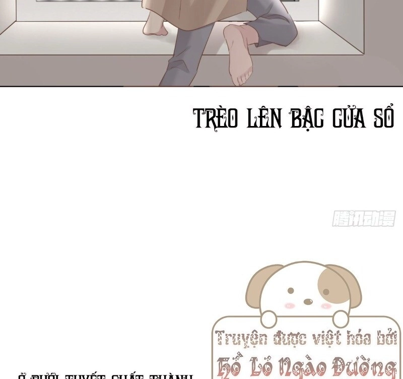 Điều Giáo Gấu Bắc Cực Chapter 38 - 67