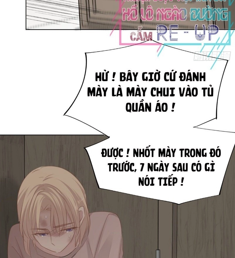 Điều Giáo Gấu Bắc Cực Chapter 39 - 50
