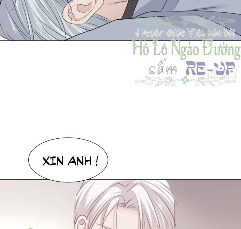 Điều Giáo Gấu Bắc Cực Chapter 40 - 17