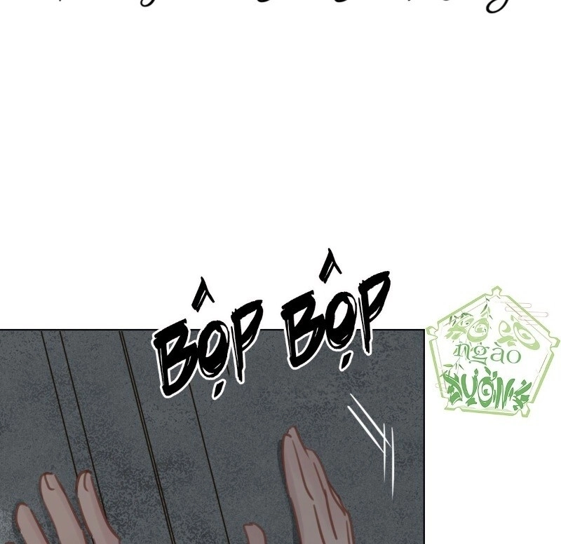 Điều Giáo Gấu Bắc Cực Chapter 41 - 2