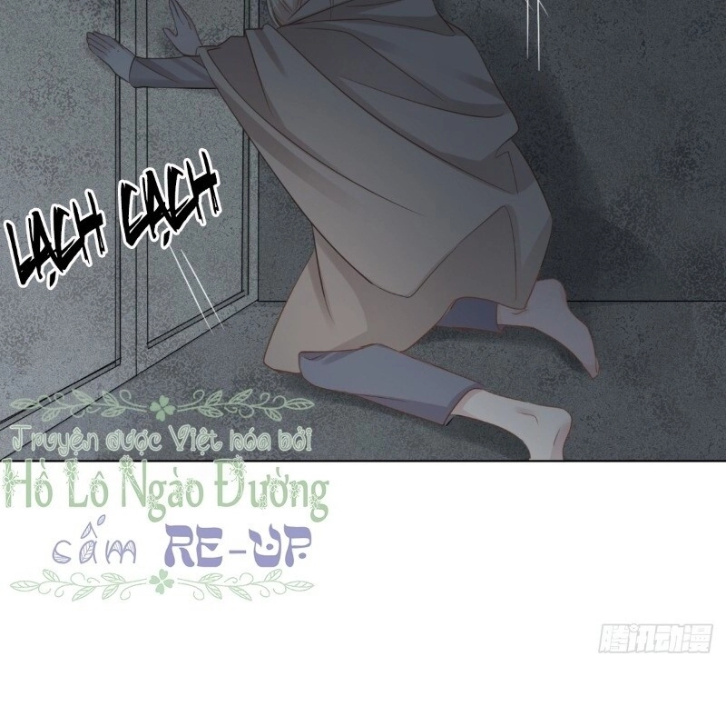 Điều Giáo Gấu Bắc Cực Chapter 41 - 6