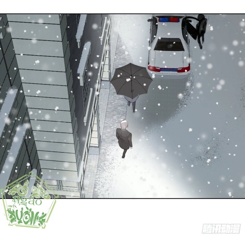 Điều Giáo Gấu Bắc Cực Chapter 41 - 15