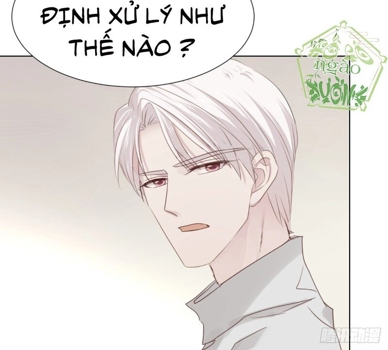 Điều Giáo Gấu Bắc Cực Chapter 41 - 45
