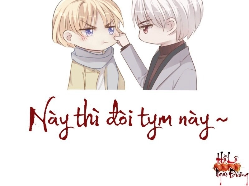 Điều Giáo Gấu Bắc Cực Chapter 41 - 60