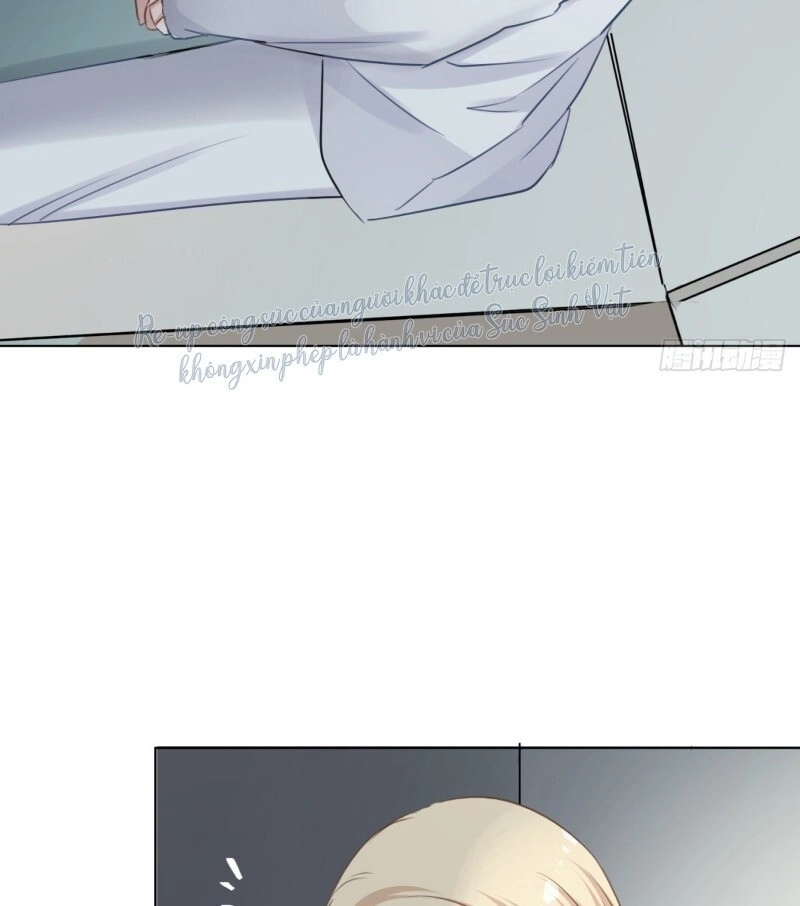 Điều Giáo Gấu Bắc Cực Chapter 42 - 38