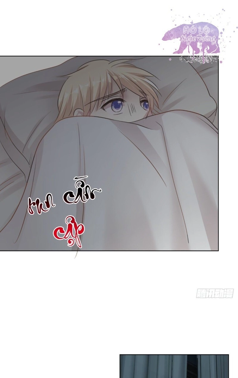 Điều Giáo Gấu Bắc Cực Chapter 45 - 45